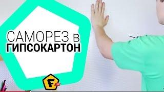 Как надежно вкрутить саморез в стену из гипсокартона, если нет специального дюбеля.