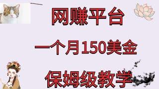 网赚赚钱/网赚2021/通过看视频做网赚调查赚钱的网站