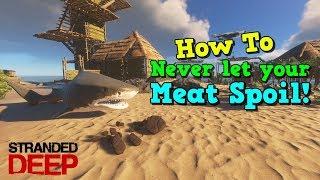 Stranded Deep - Do this so that your meat never spoil!