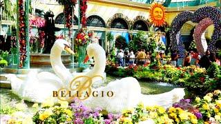 Full Tour LAS VEGAS Incredible BELLAGIO Hotel & Casino BOTANICAL GARDENS