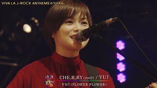 yui – CHE.R.RY / チェリー Mashup (Live 2018)