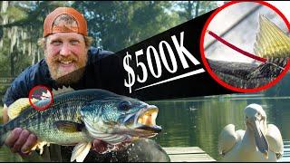 Most Valuable Fish I Ever Caught  | Alabama Catch & Cook Adventure Day 2