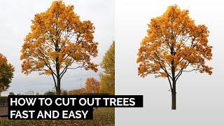 How to cutout trees - fast and easy!