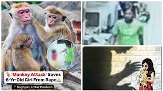 In Uttar Pradesh's Baghpat, a girl escaped molestation thanks to the intervention of monkeys