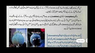 Addictive Drugs,Sedatives,Narcotics,Hallucinogens,Marijuana in Urdu Class 10 Biology Chapter 18