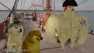 "Time Flyes When You're Having Rum" Doge Music Video