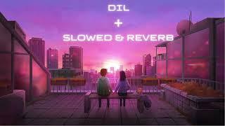 Dil - Lofi (Slowed + Reverb) | Raghav Chaitanya