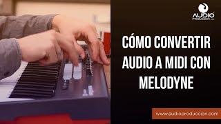 Cómo Convertir Audio A MIDI Con Melodyne