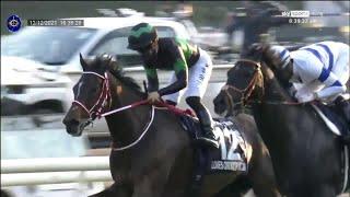 Japanese superstar! Loves Only You wins the G1 Hong Kong Cup
