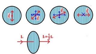 Physics 53  Polarization (1 of 5) Introduction