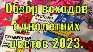 Обзор всходов ,цветов,первые пошли 