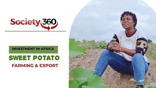 Investing In Africa: How A Team Of Young Ghanaians Are Producing Sweet Potatoes For Export