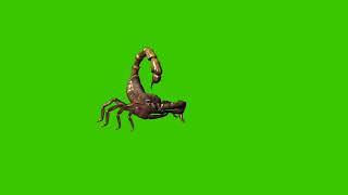 Scorpion green Screen | Scorpion cartoon green screen copyright free