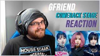 Am I Becoming a Buddy? GFRIEND Comeback Stage Reaction! Labyrinth & Crossroads!