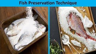 Some Amazing Fish Preservation Techniques