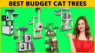 7 Best Cat Tree On Amazon (Best Towers for Your Kitty to Climb) - For Pet Lovers