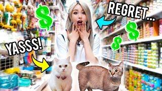 Buying My Cats Everything They Touch!