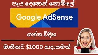 How to earn money with Google Adsense| Exblog.jp Sinhala | Adsense Sinhala 2024 | Exblog Sinhala