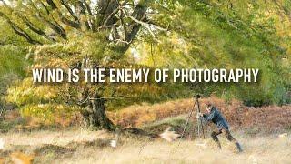 Is Wind The Enemy of Landscape Photography?