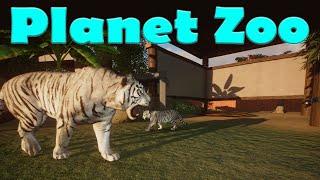 Planet Zoo - Breeding My White Bengal Tiger