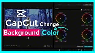 Make Video Background Black And White in CapCut | Remove Color From Background in CapCut