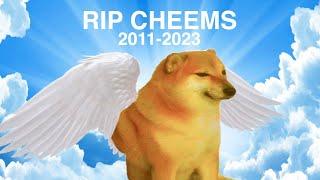 Rip Cheems (Balltze) | What happened to Cheems?