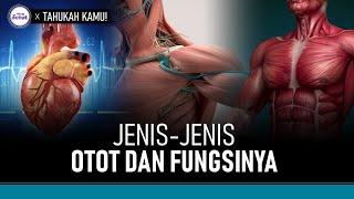 Kenali Jenis-Jenis Otot Manusia Beserta Fungsinya | Hidup Sehat tvOne