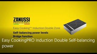 Easy CookingPRO Induction Double Self-balancing power