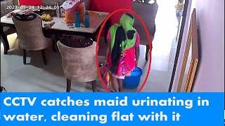 Shocking: Maid Caught on Camera Mopping Floor with Urine in Greater Noida's Housing Society