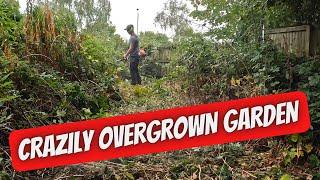 Overgrown garden gets a makeover. Would you do this job?