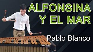 Alfonsina y el mar (Mercedes Sosa) // played by Pablo Blanco (Vibraphone)