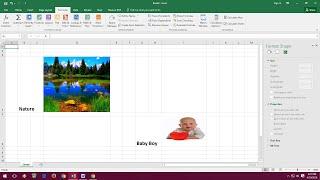 How to Insert Picture & Auto Resize with Excel Cell