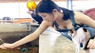 Funniest animals 2024  | Best cats and dogs videos  #022