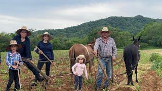 ASÍ  TRABAJAMOS EN EL CULTIVO DE NUESTRA SIEMBRA DE MAÍZ 