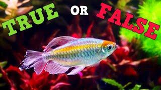 You've Been LIED To About Water Changes, New Series "True Or False"