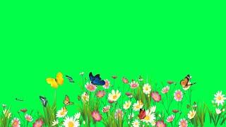 flower garden green screen video | flower green screen effect | blue butterfly green screen