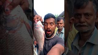 10kilo machli fhekdiya  #minivlog #vlog #vlogging #shorts #dailyvlog #fish #vlogger