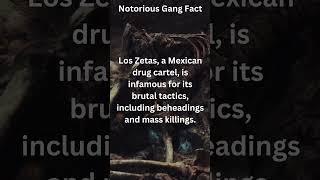 Cartels of Mexico.  #truecrime #truecrimechannel #mysterysolved #unsolvedcrime #crime #cartel