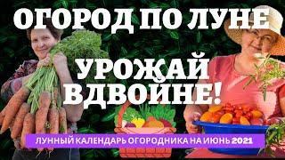 ИЮНЬ 2021 - ЛУННЫЙ КАЛЕНДАРЬ ОГОРОДНИКА и САДОВОДА по дням. Что и когда делать по Луне?