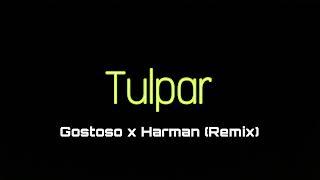 Tulpar - Harman x Gostoso (Remix)