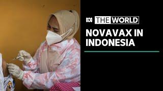 Indonesia first in world to approve Novavax coronavirus vaccine | The World