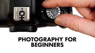 Master The Basics of Photography