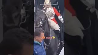 BAD DAY IN KINGSGUARD #kindness #horse #kingsguard #ressacamental #kingshorse #viralshorts