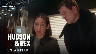 Hudson & Rex | Season Finale | Universal TV on Universal+