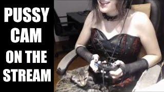 Pandora Highlights #6 - Pussy cam on stream