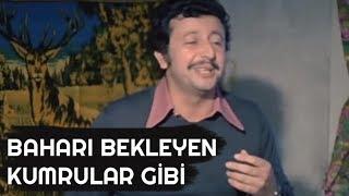 BAHARI BEKLEYEN KUMRULAR GİBİ - Petrol Kralları (1979)