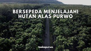 Bersepeda Menjelajahi Hutan Alas Purwo