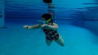 Dutch non-profit ‘The Dolphin Swim Club’ launches waterproof VR glasses