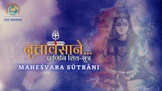 Panini Shiv Sutra | Maheshvar Sutra | Maharishi Panini | Nritavasane Natrajrajo |