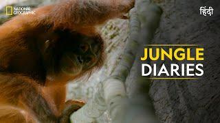 Jungle Diaries | Hostile Planet | Full Episode | S1-E1 | National Geographic
